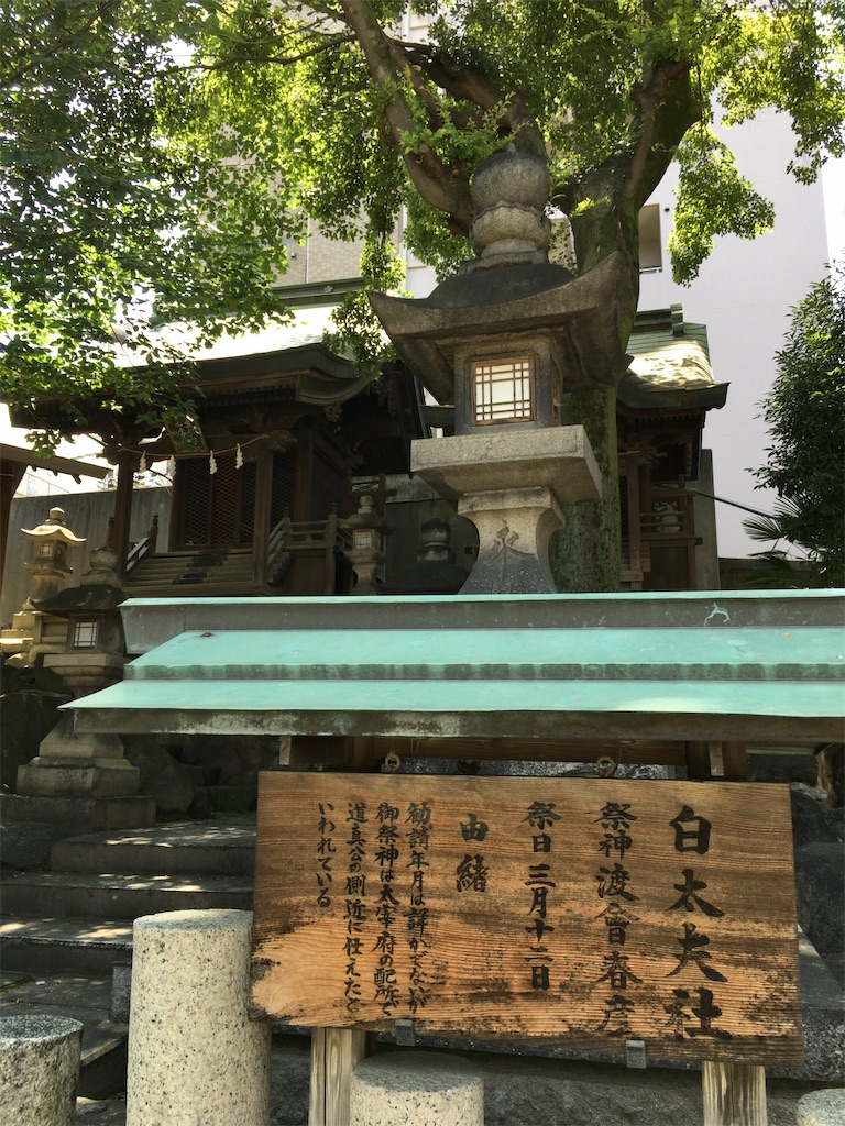 f:id:minghuabj:20210809213126j:image