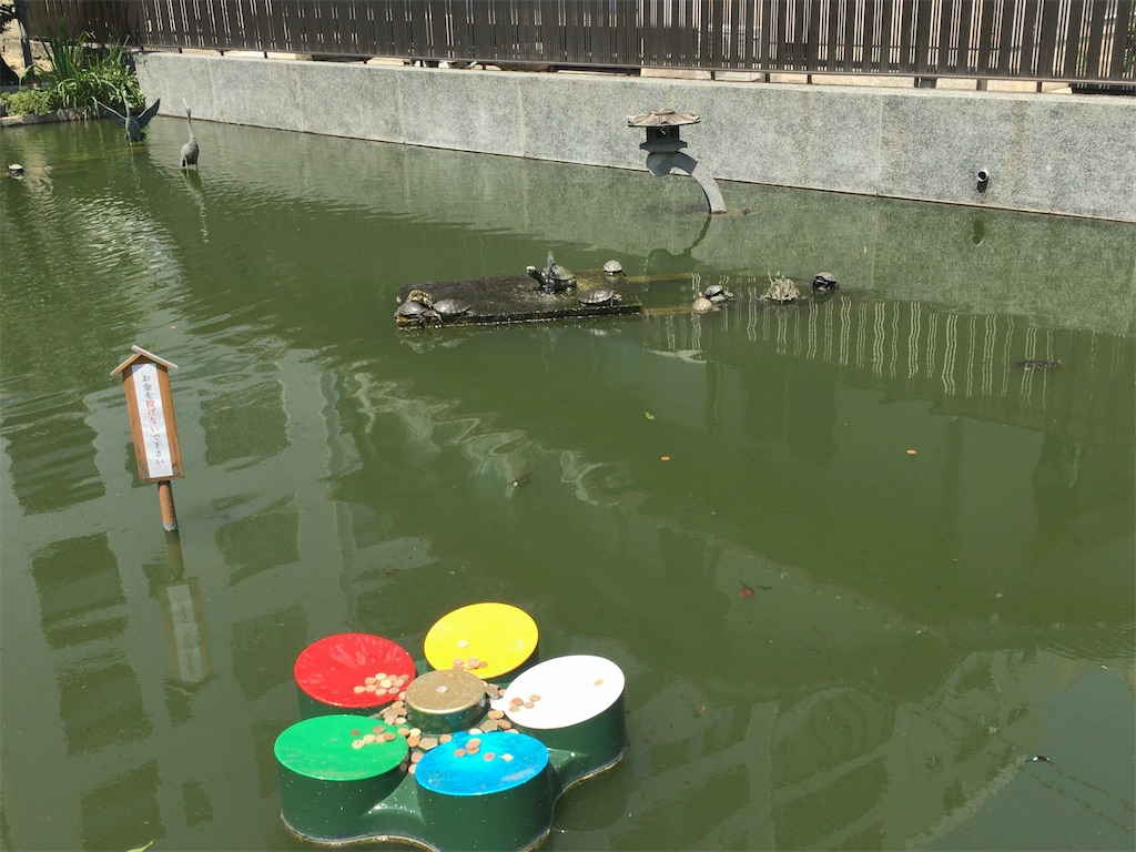 f:id:minghuabj:20210809215946j:image