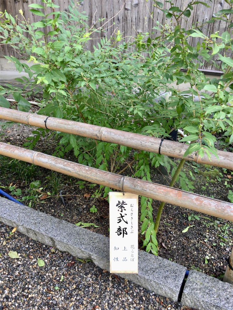 f:id:minghuabj:20210813105606j:image f:id:minghuabj:20210813105606j:image