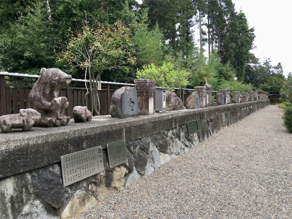 f:id:minghuabj:20210813111353j:image