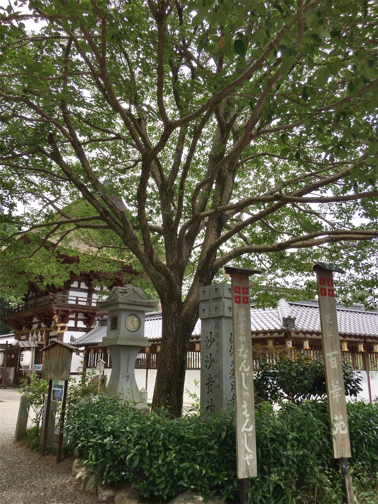 f:id:minghuabj:20210813111529j:image