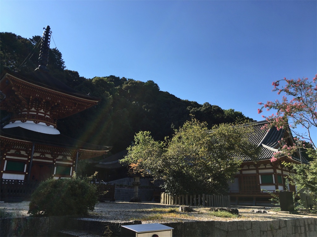 f:id:minghuabj:20210910000140j:image f:id:minghuabj:20210910000140j:image