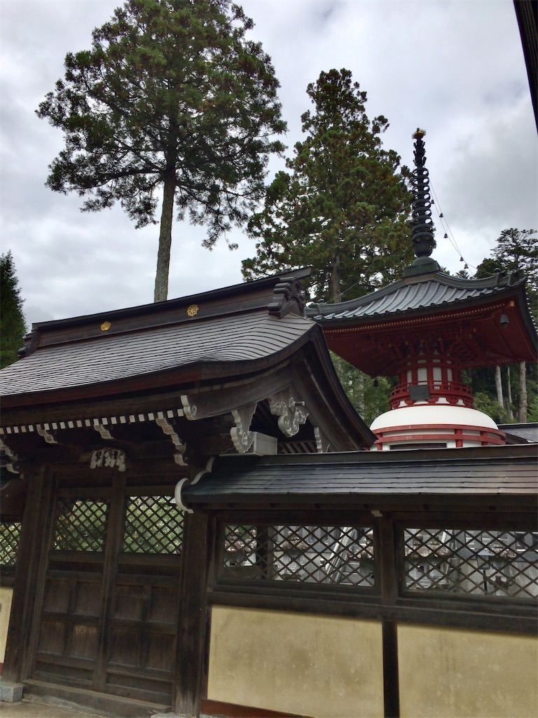f:id:minghuabj:20210920234157j:image