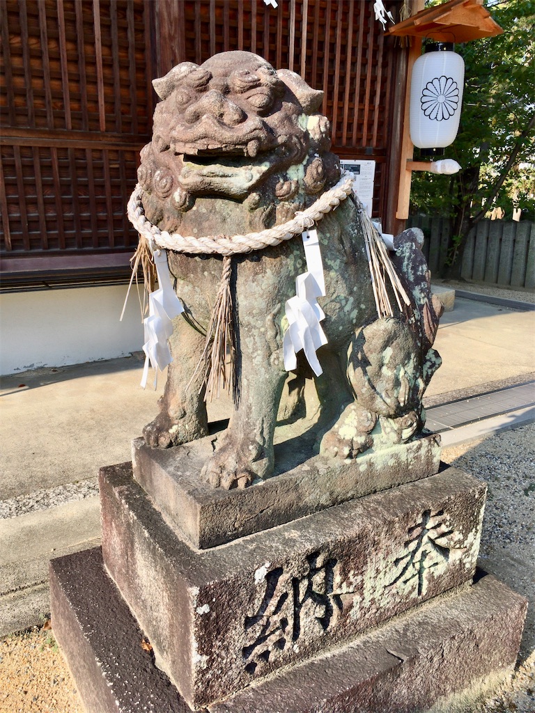 f:id:minghuabj:20210923231150j:image