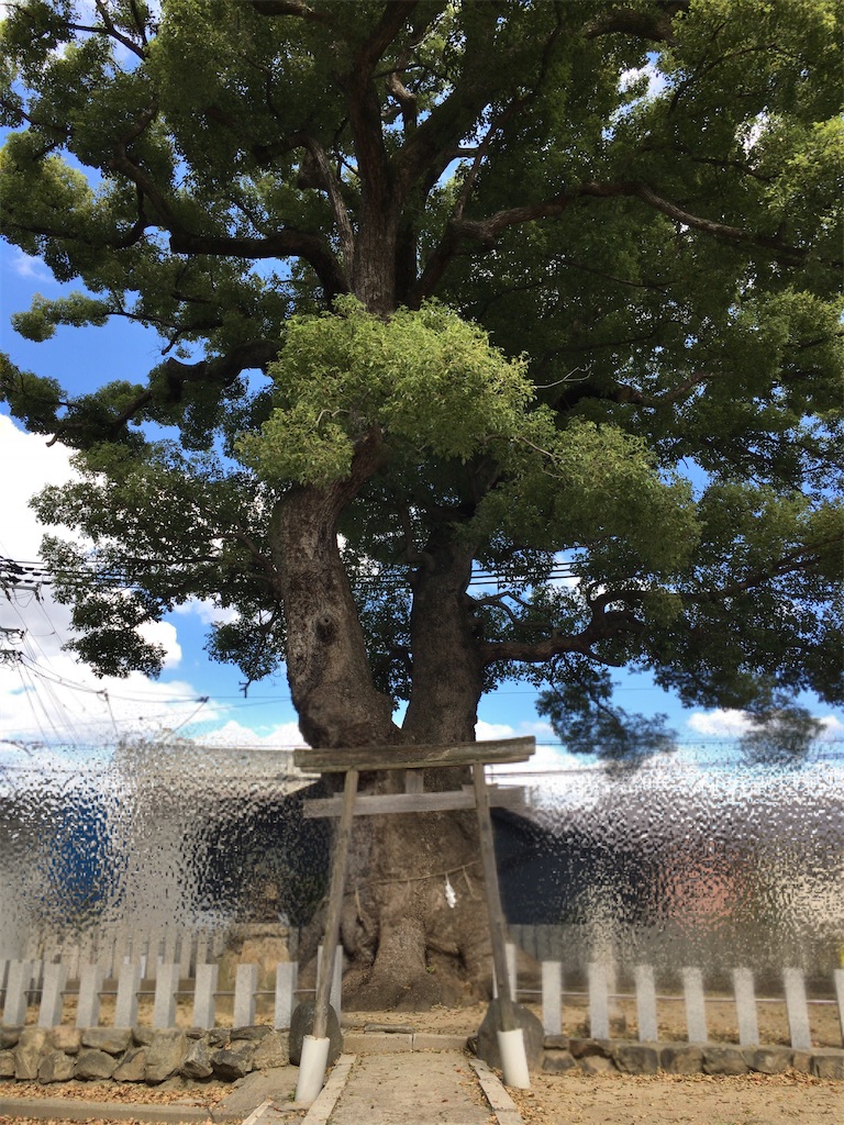 f:id:minghuabj:20211021160832j:image