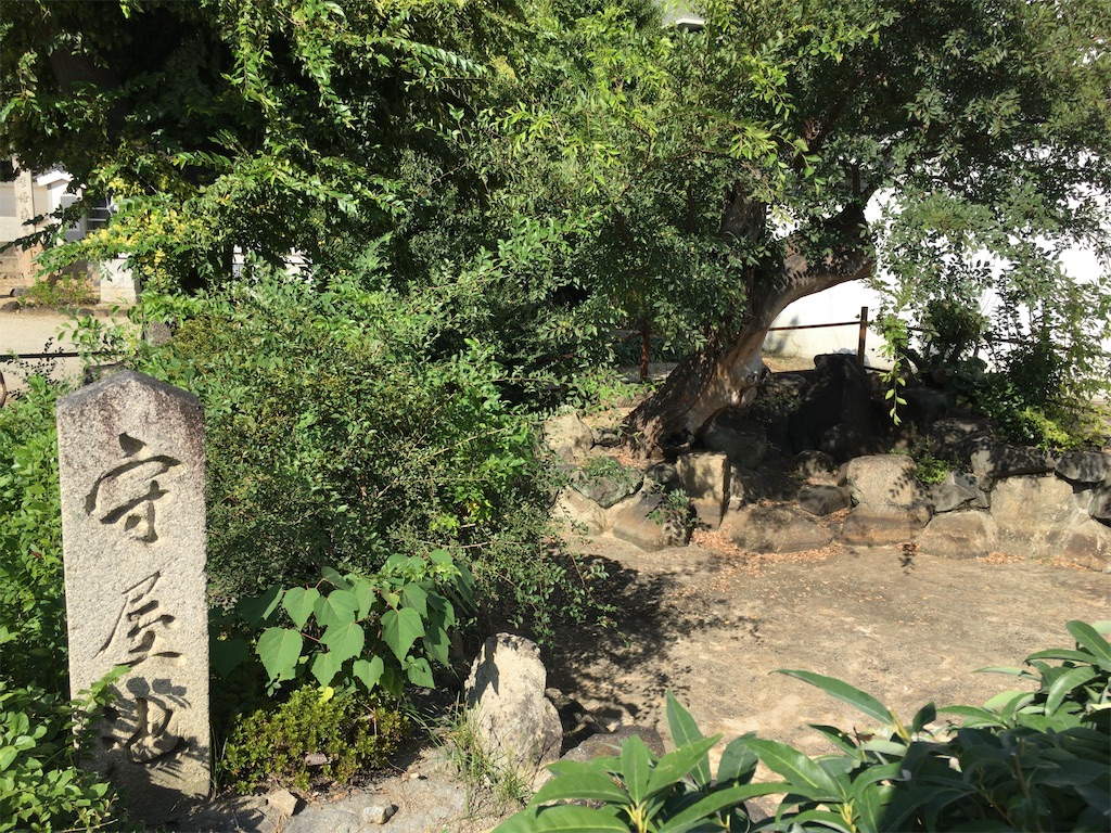 f:id:minghuabj:20211021163115j:image