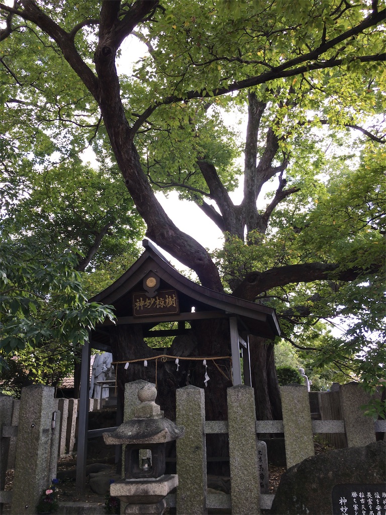 f:id:minghuabj:20211021163344j:image