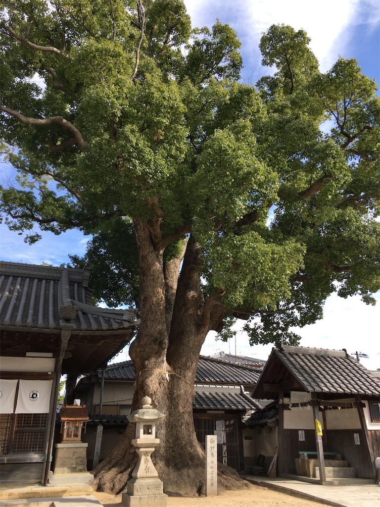 f:id:minghuabj:20211027234043j:image