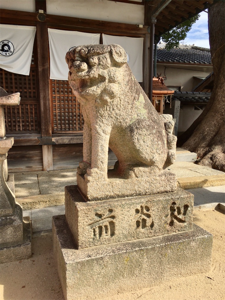 f:id:minghuabj:20211027234049j:image