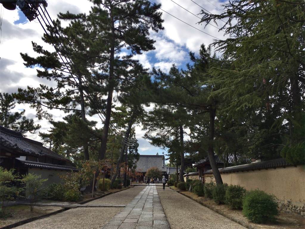 f:id:minghuabj:20211114232007j:image