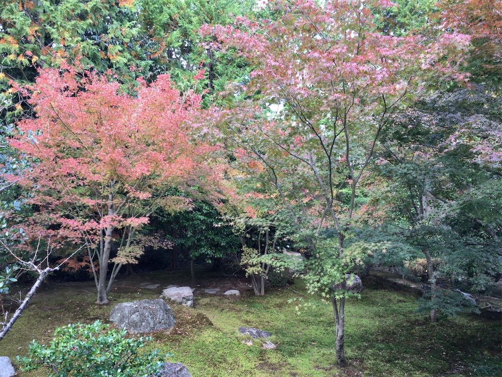 f:id:minghuabj:20211122005148j:image