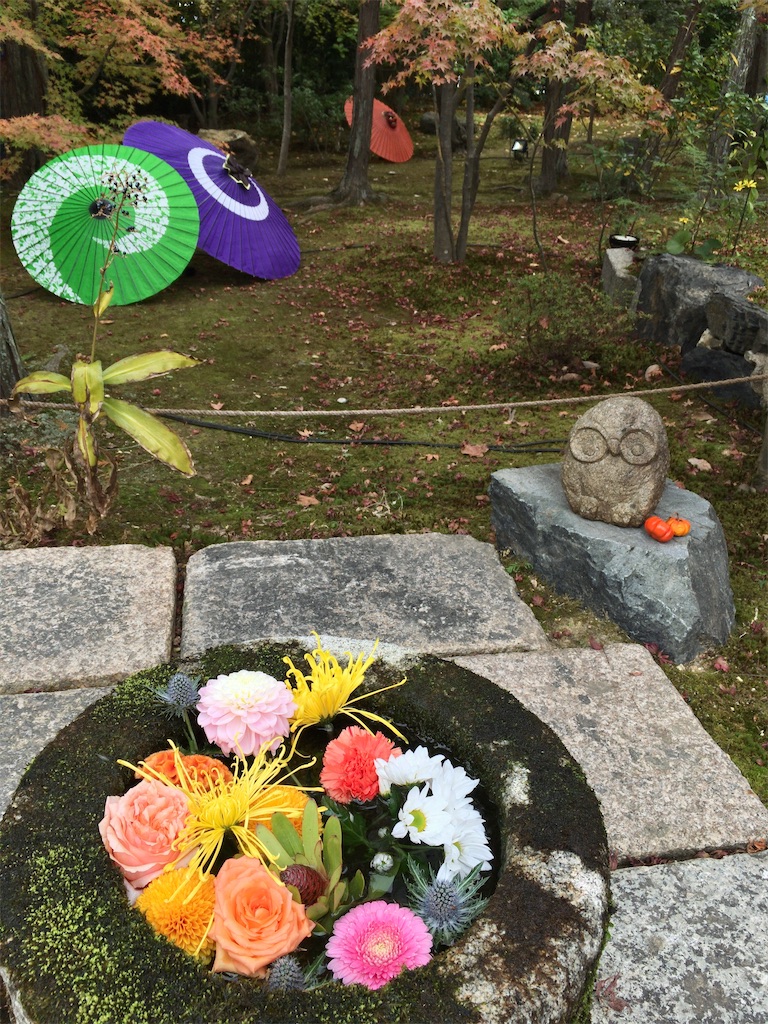 f:id:minghuabj:20211122005249j:image