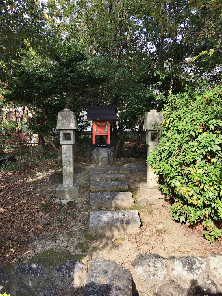 f:id:minghuabj:20211123234114j:image