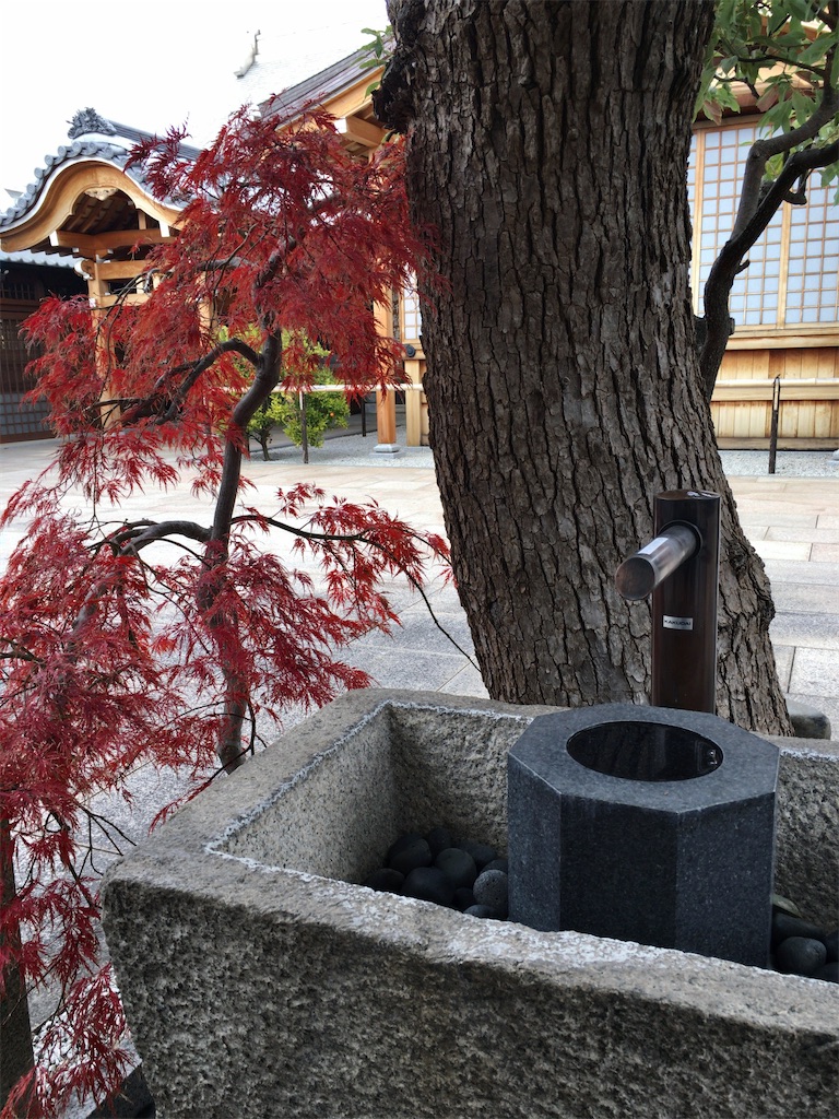 f:id:minghuabj:20211208001759j:image