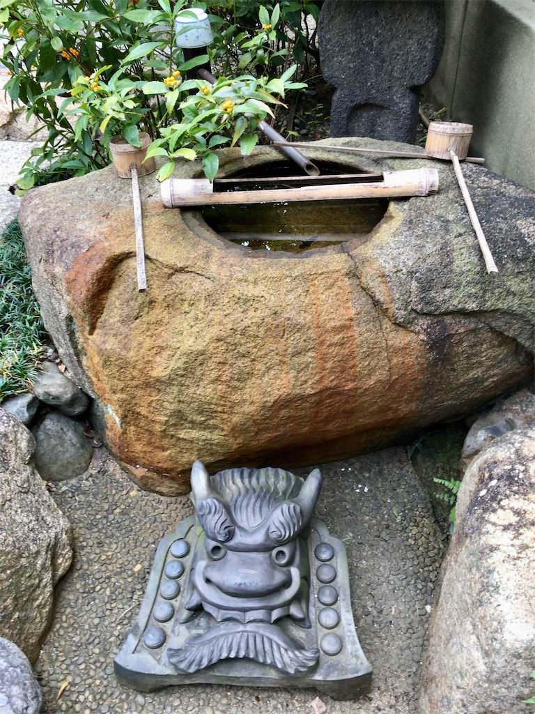 f:id:minghuabj:20211208002240j:image