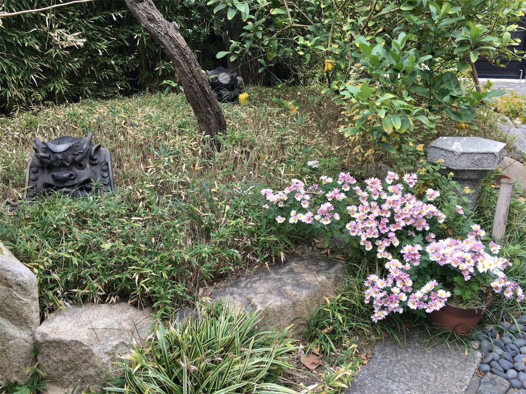 f:id:minghuabj:20211208002308j:image