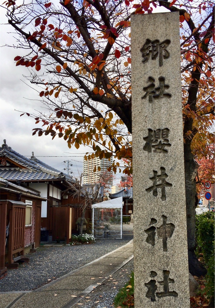 f:id:minghuabj:20211213222536j:image