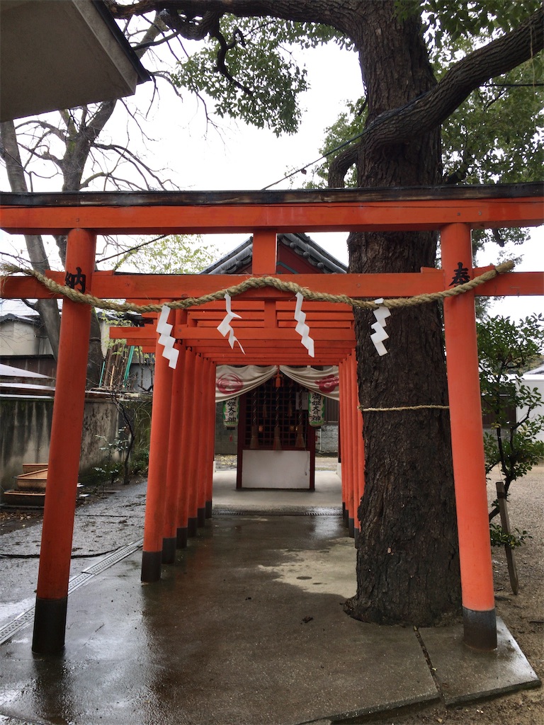f:id:minghuabj:20220125225505j:image f:id:minghuabj:20220125225505j:image