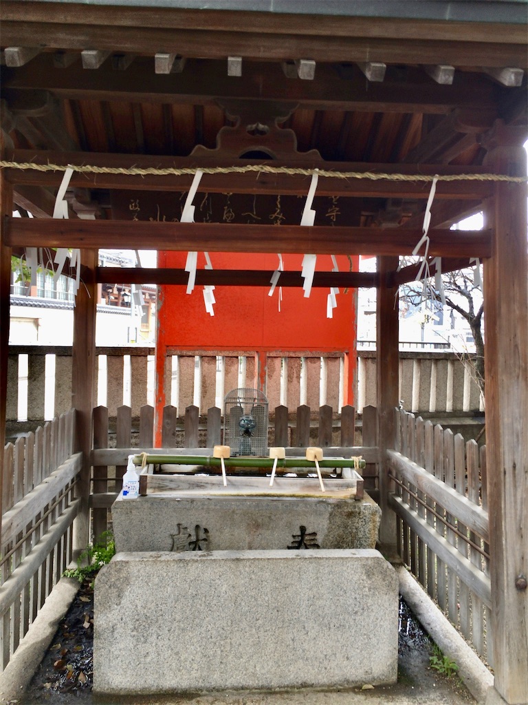 f:id:minghuabj:20220125225550j:image f:id:minghuabj:20220125225550j:image