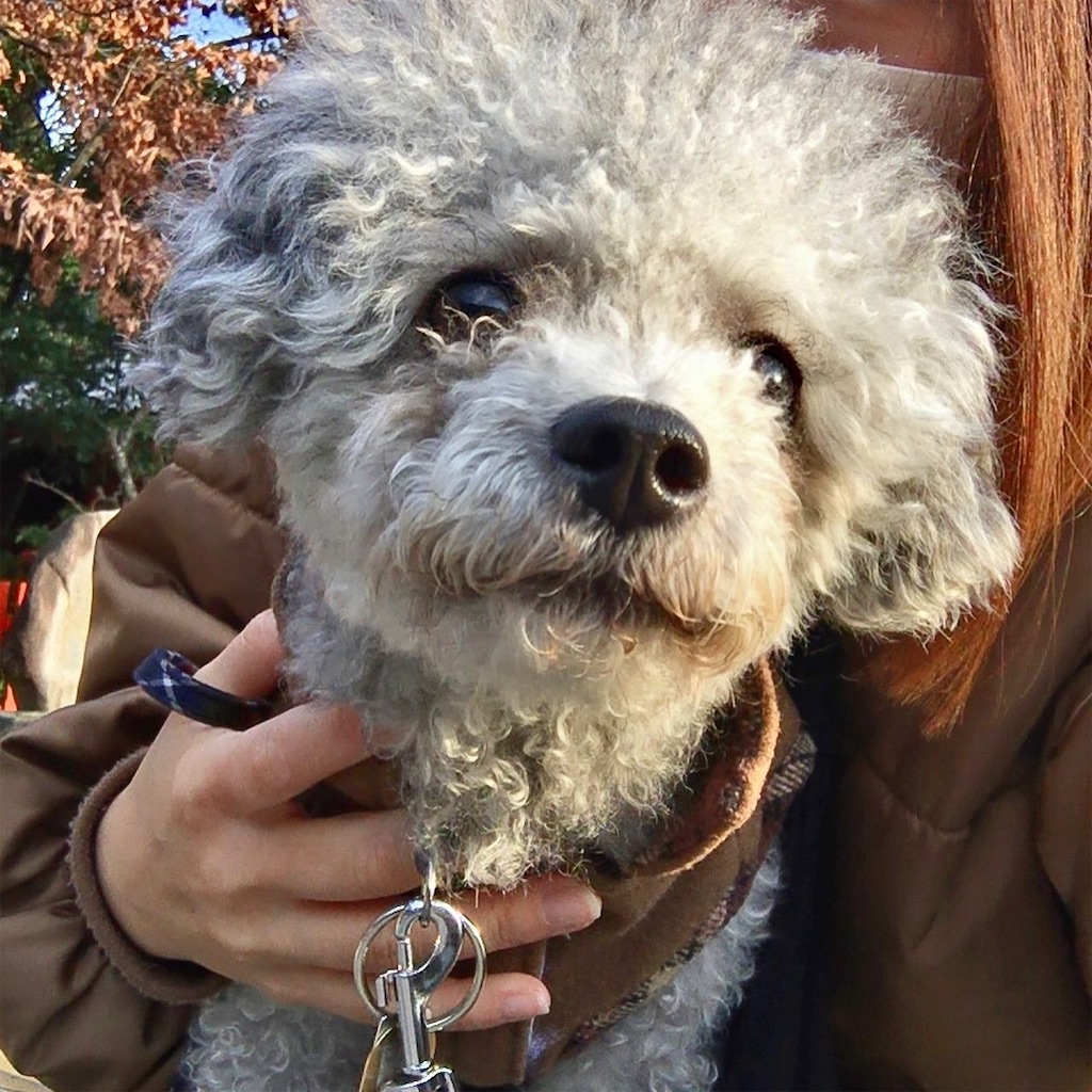 f:id:minghuabj:20220130213354j:image f:id:minghuabj:20220130213354j:image