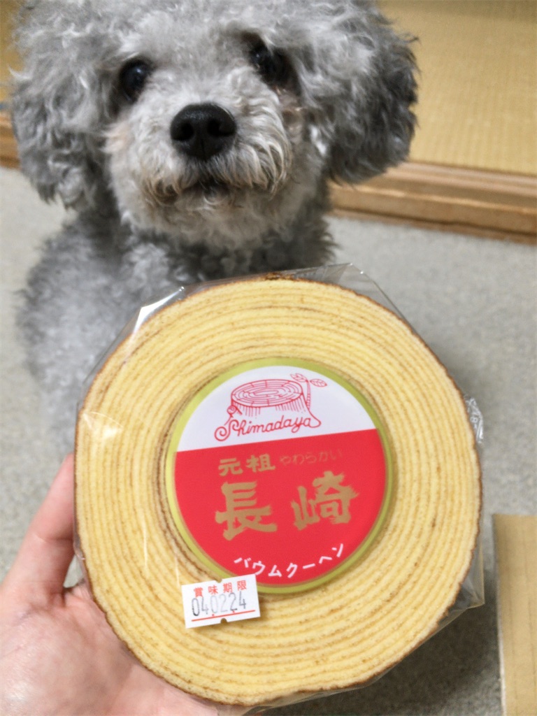 tomoさま専用ページ 長崎バウムクーヘン 大 ６個  特大２個  島田屋製菓 長崎バウムクーヘン 大 2個 島田屋製菓 の通販 by 食いしんぼ's