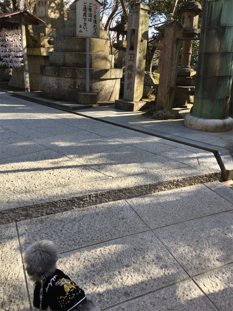 f:id:minghuabj:20220220005557j:image