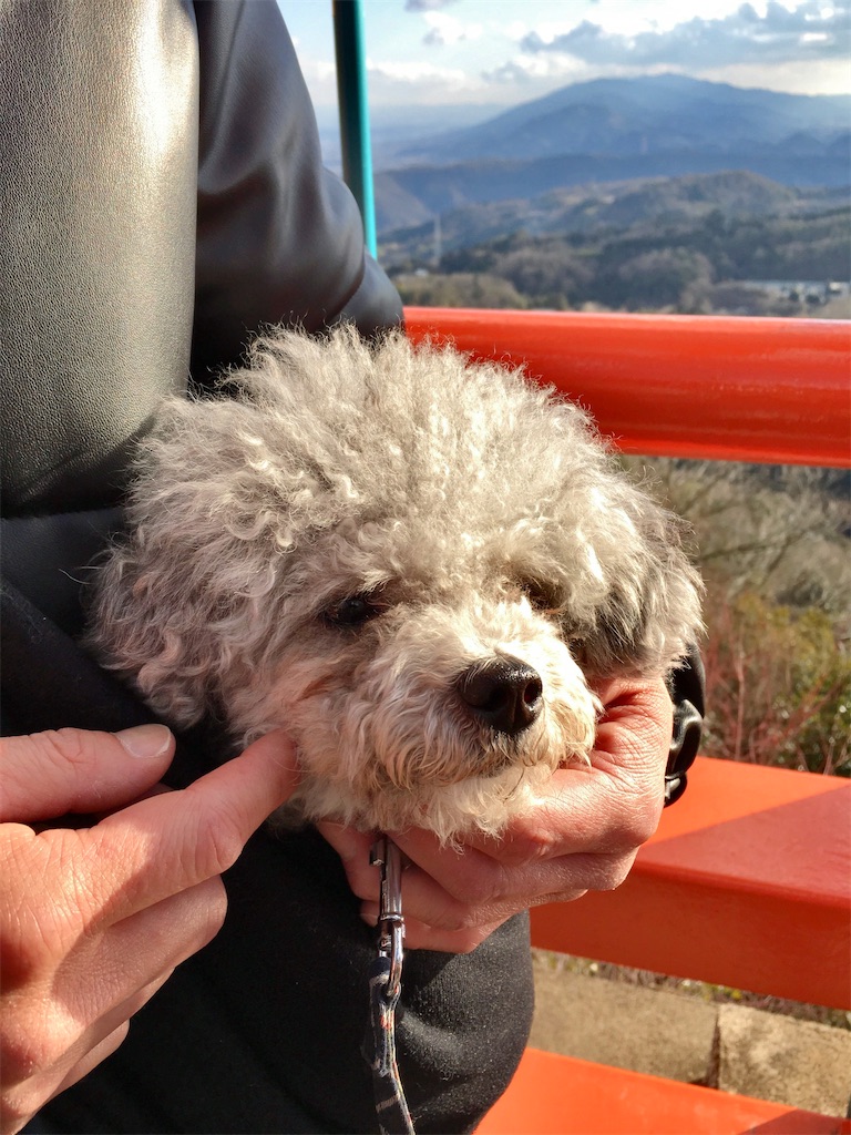 f:id:minghuabj:20220220005627j:image