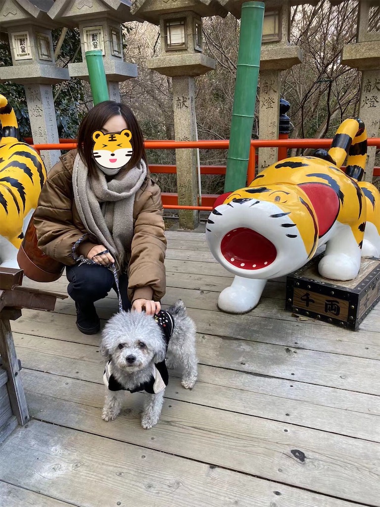 f:id:minghuabj:20220220005641j:image