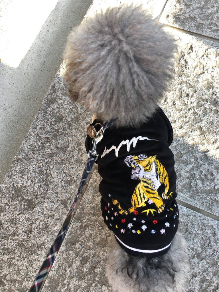 f:id:minghuabj:20220220005851j:image