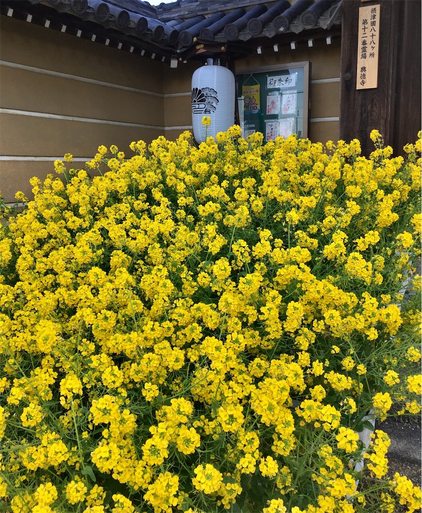 f:id:minghuabj:20220228001601j:image