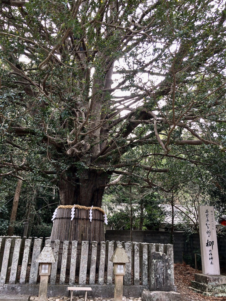 f:id:minghuabj:20220228212300j:image f:id:minghuabj:20220228212300j:image
