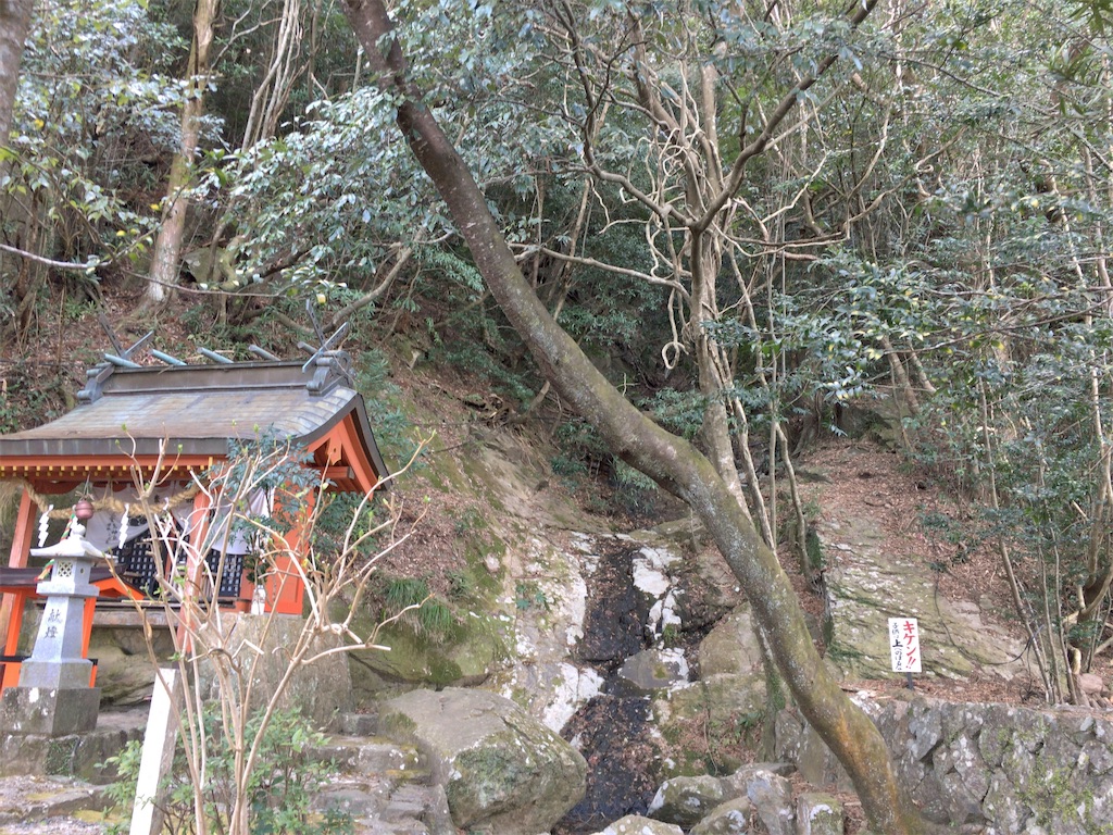 f:id:minghuabj:20220301140720j:image