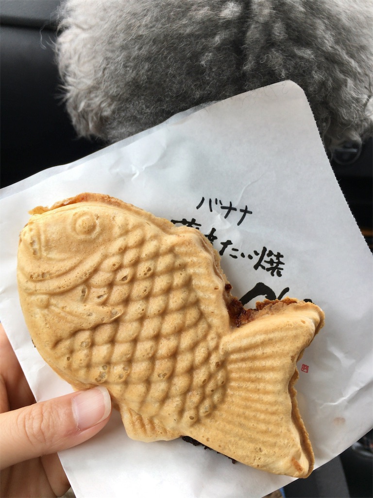 f:id:minghuabj:20220301202713j:image f:id:minghuabj:20220301202713j:image