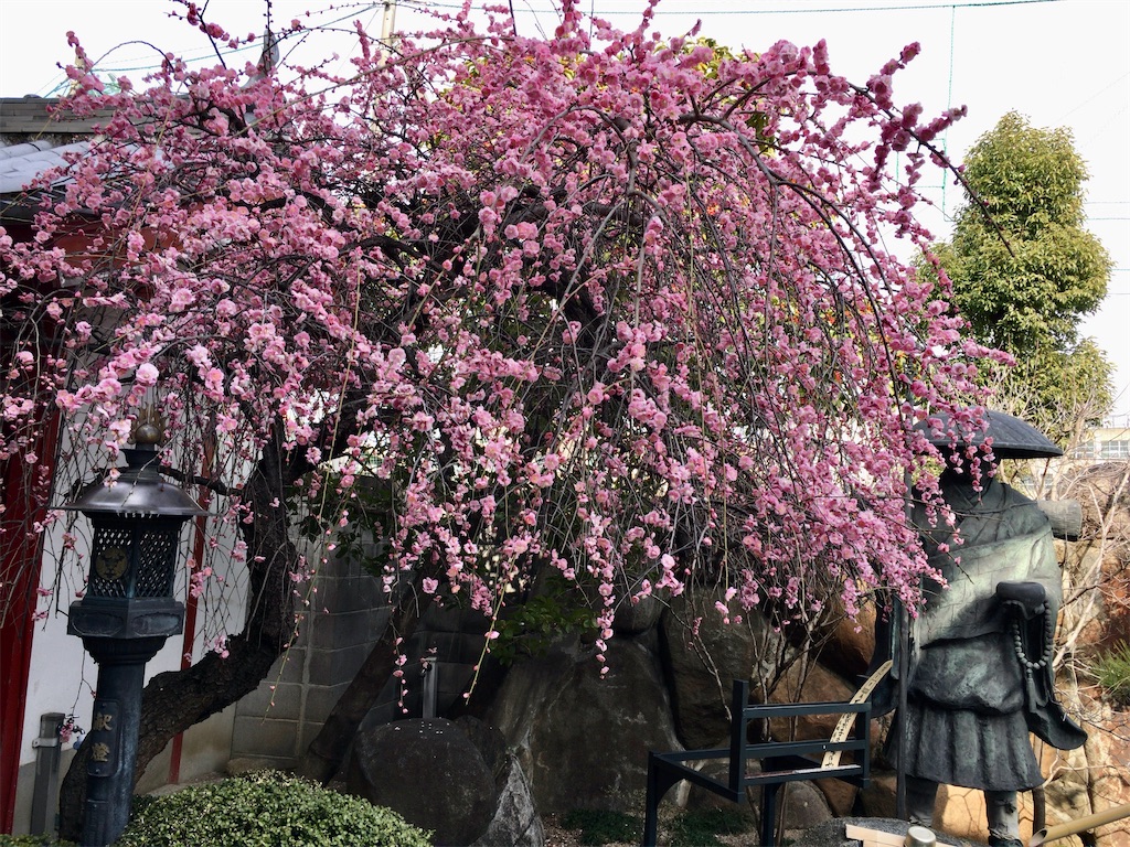 f:id:minghuabj:20220311104403j:image