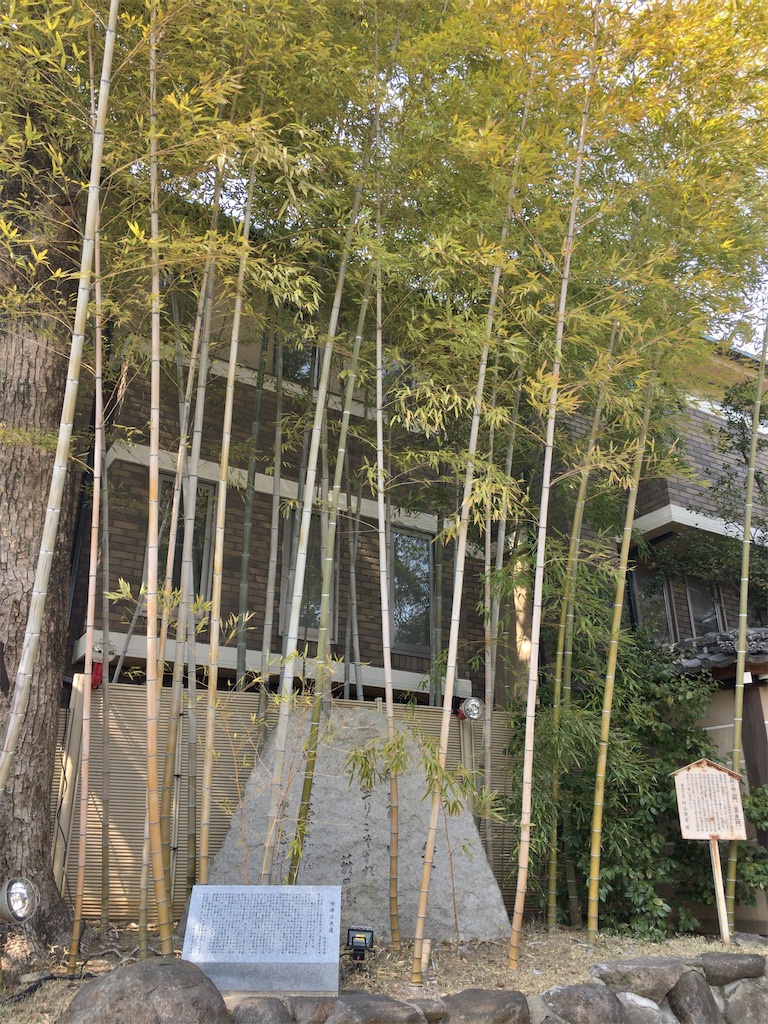 f:id:minghuabj:20220313005554j:image f:id:minghuabj:20220313005554j:image