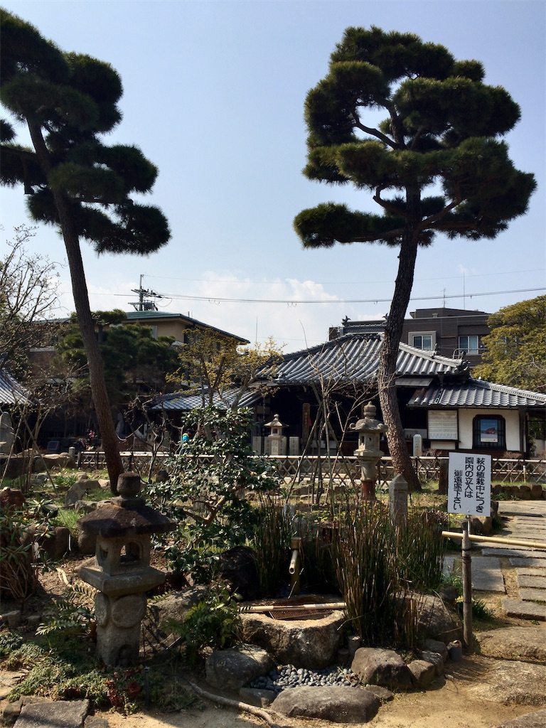 f:id:minghuabj:20220313005953j:image f:id:minghuabj:20220313005953j:image