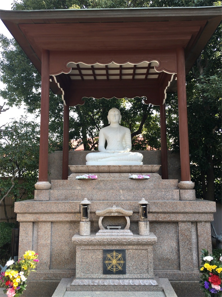 f:id:minghuabj:20220313010002j:image f:id:minghuabj:20220313010002j:image