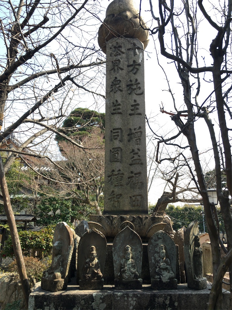 f:id:minghuabj:20220313010156j:image f:id:minghuabj:20220313010156j:image