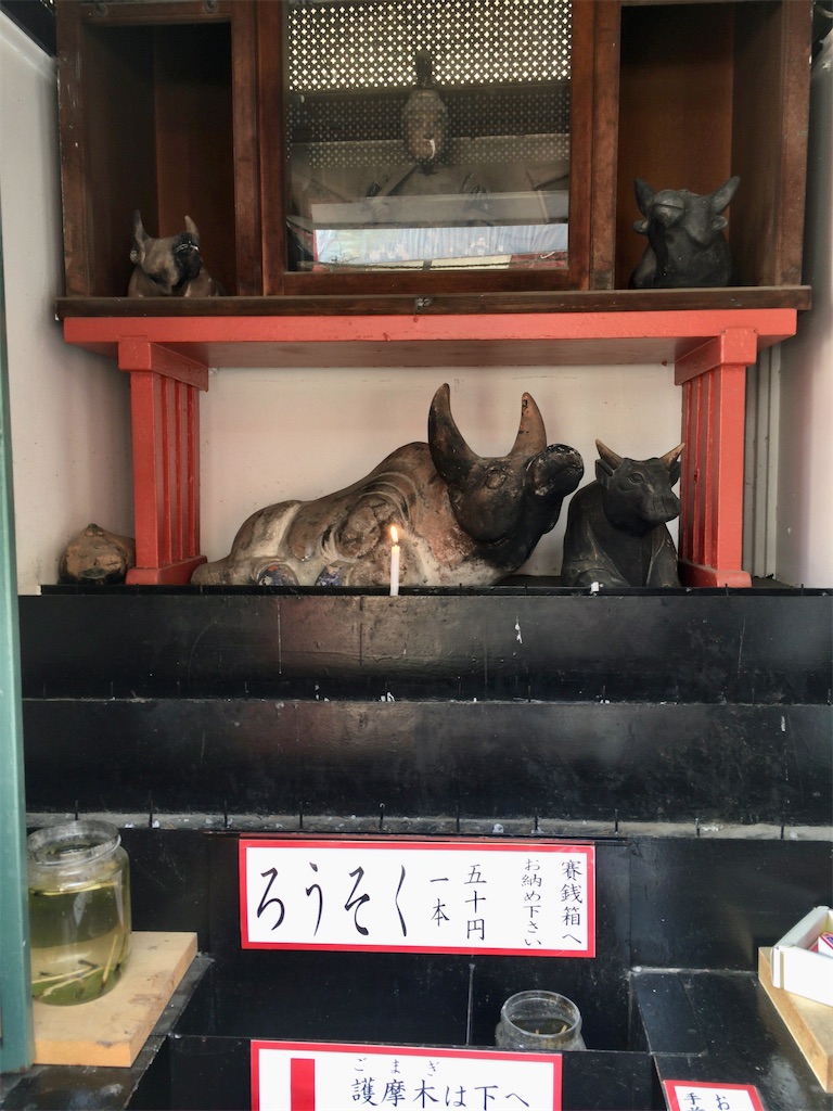 f:id:minghuabj:20220314103932j:image