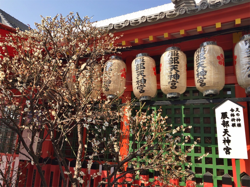 f:id:minghuabj:20220314103955j:image