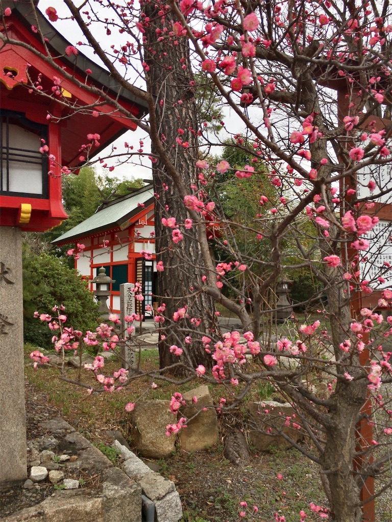 f:id:minghuabj:20220320234939j:image