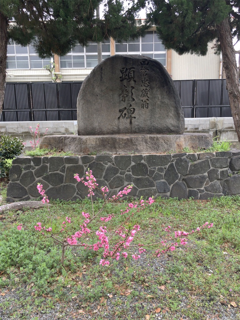 f:id:minghuabj:20220320235021j:image
