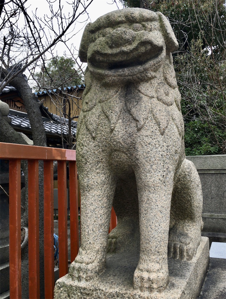 f:id:minghuabj:20220320235210j:image