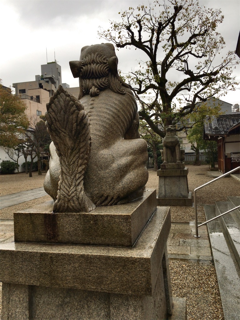 f:id:minghuabj:20220321000511j:image