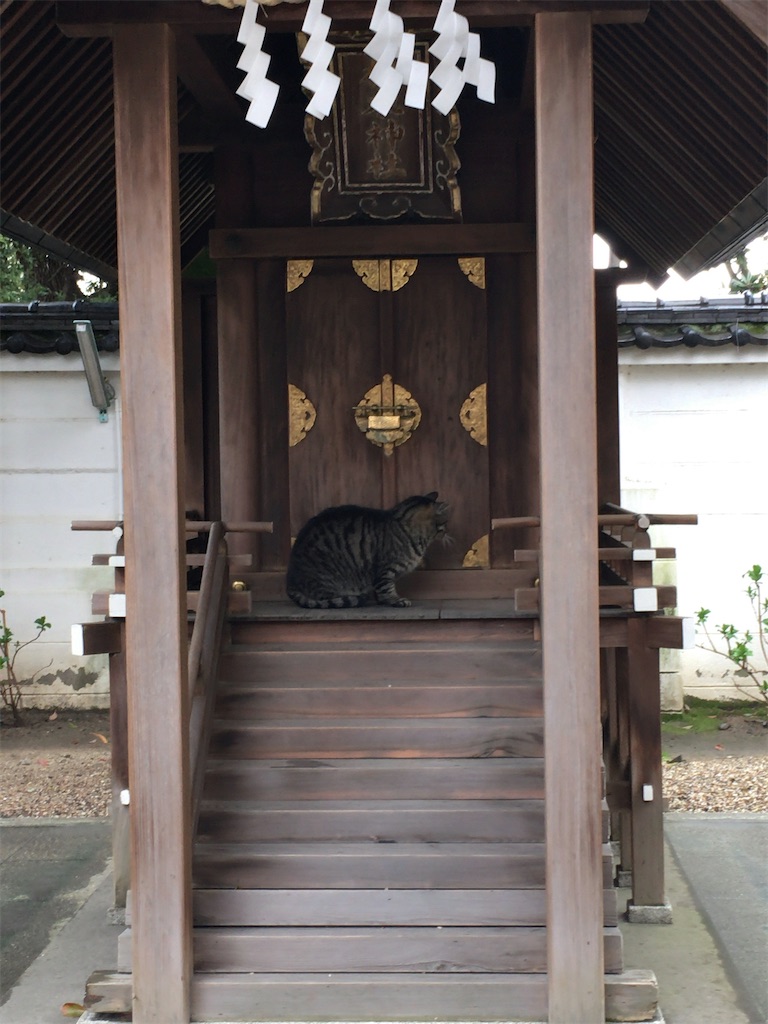 f:id:minghuabj:20220321000543j:image