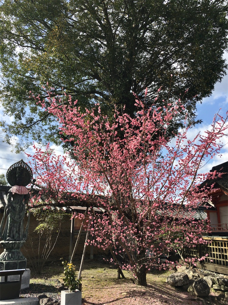 f:id:minghuabj:20220326024447j:image