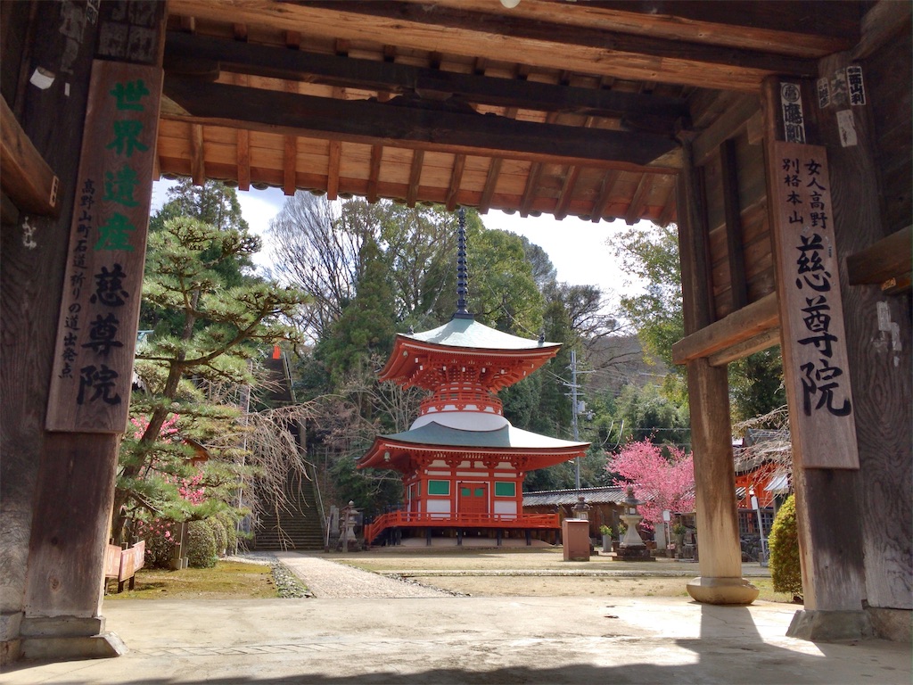 f:id:minghuabj:20220326024454j:image