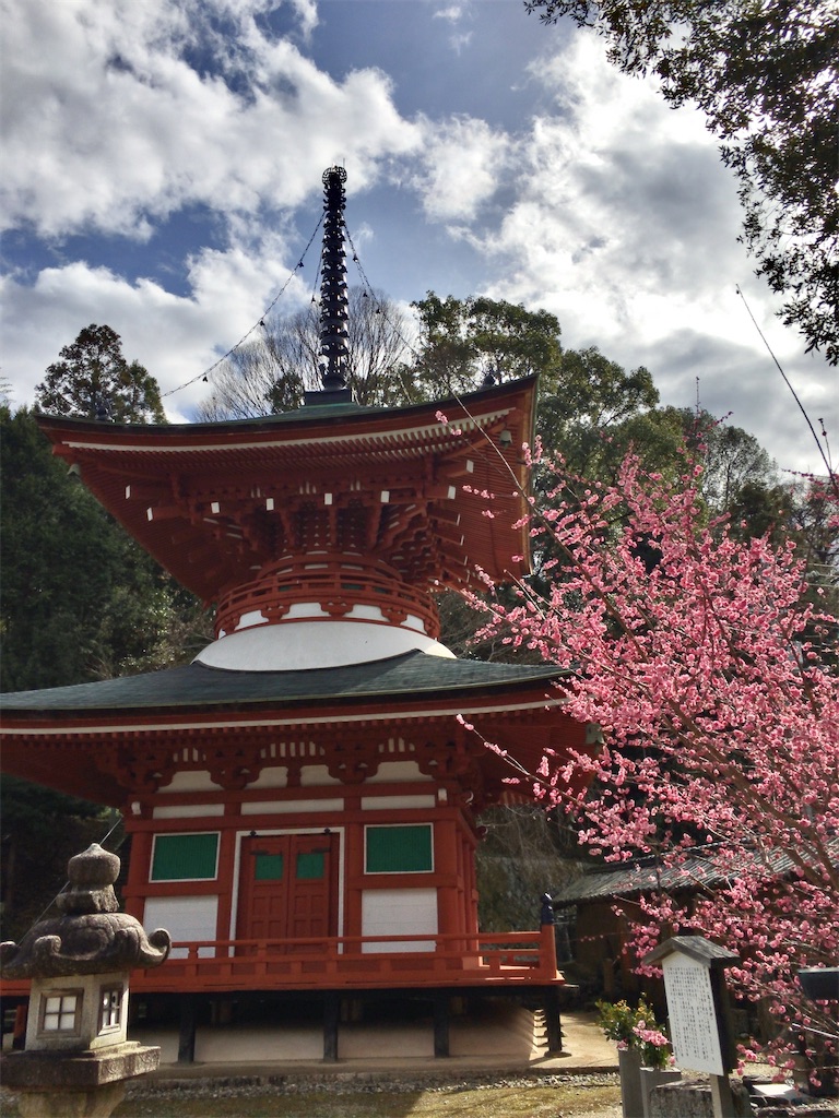 f:id:minghuabj:20220326024501j:image