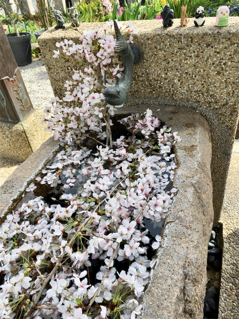 f:id:minghuabj:20220403230415j:image