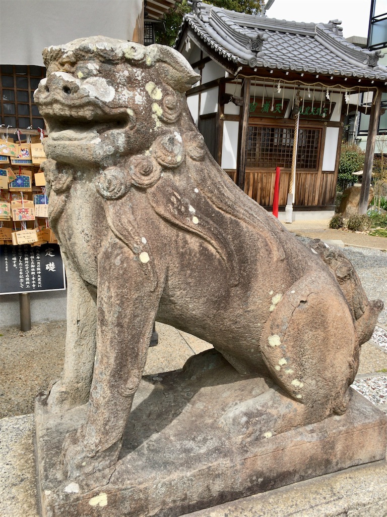 f:id:minghuabj:20220403230559j:image